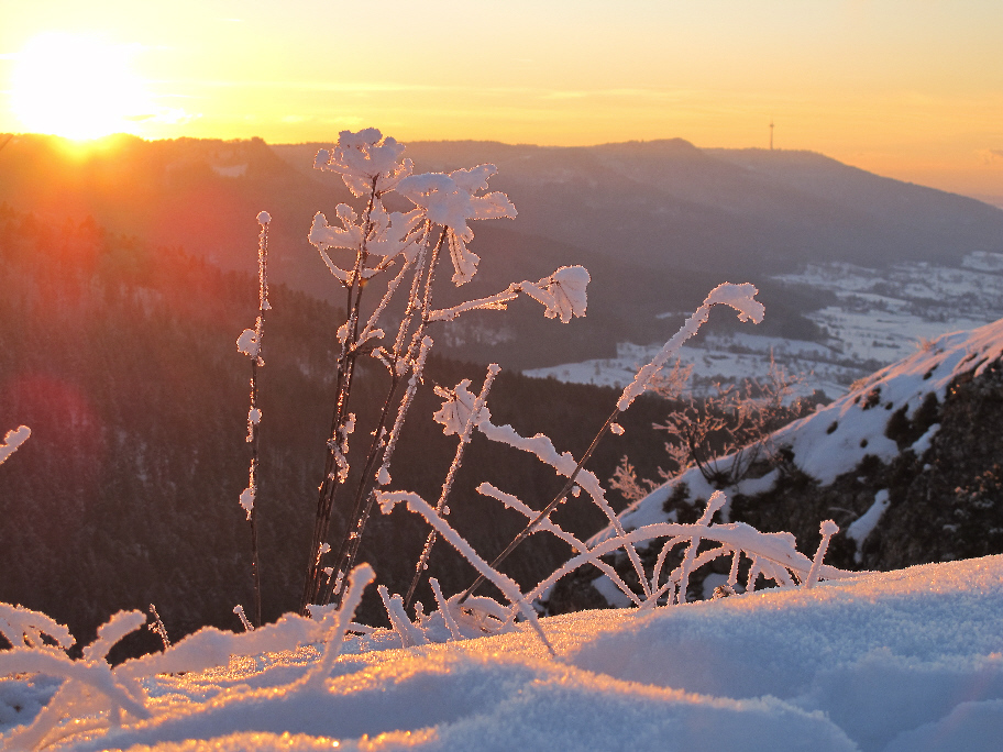 Sonnenuntergang am Böllat