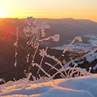 Sonnenuntergang am Böllat