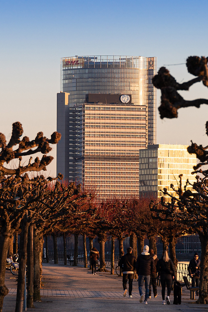 Sonnenuntergang am Bonner Rheinufer Foto & Bild architektur