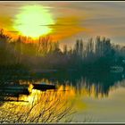 Sonnenuntergang am Bootshafen/Rhein