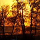 Sonnenuntergang am Bootssteg