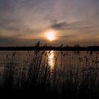 Sonnenuntergang am Bornhorster See /Oldenburg