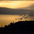 Sonnenuntergang am Bosporus