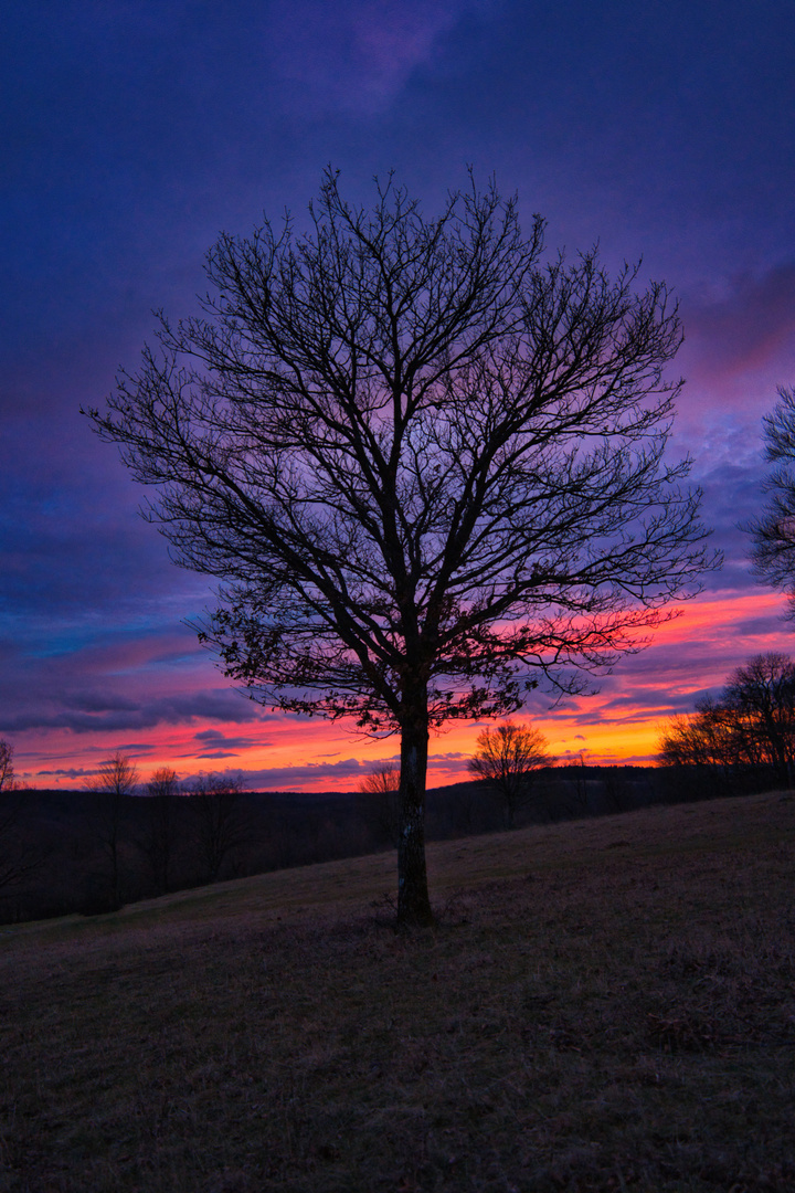 Sonnenuntergang am Breitenstein