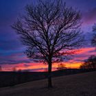 Sonnenuntergang am Breitenstein