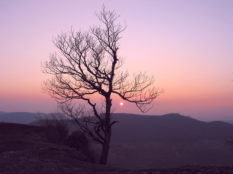 Sonnenuntergang am Breitenstein