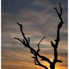 Sonnenuntergang am Breitenstein