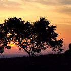 Sonnenuntergang am Breitenstein / Schwäbische Alb