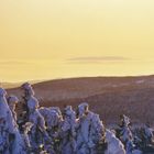 Sonnenuntergang am Brocken / Harz