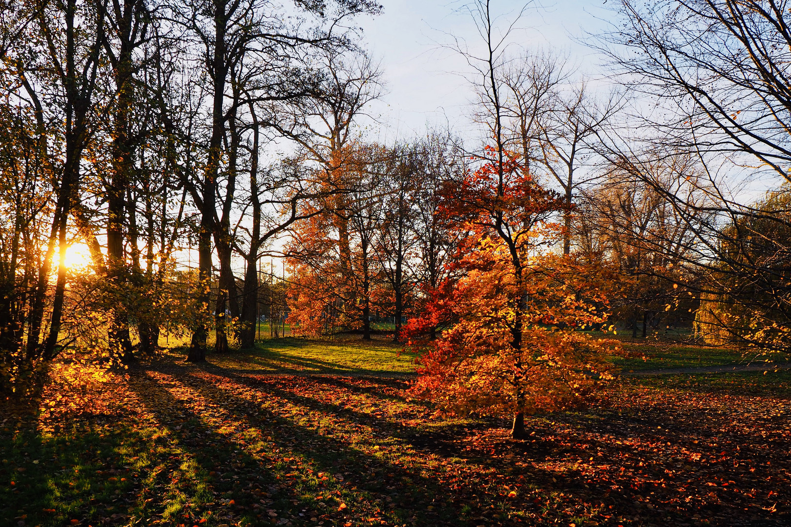 Sonnenuntergang am Bürgerpark