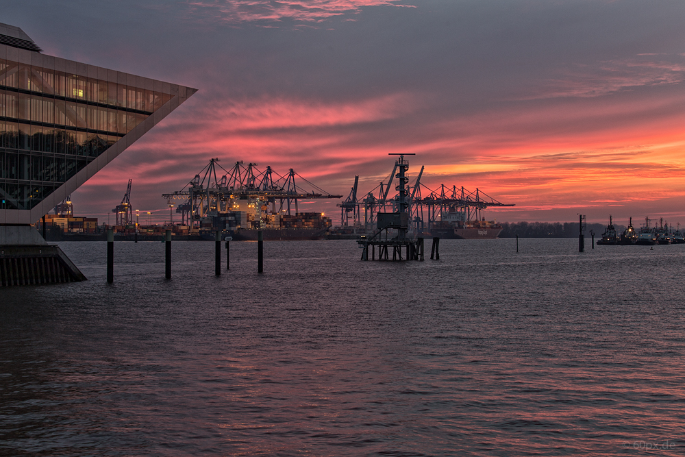 Sonnenuntergang am Burchardkai 1114