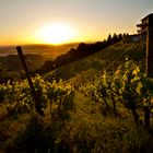 Sonnenuntergang am Burg Windeck (Bühl)