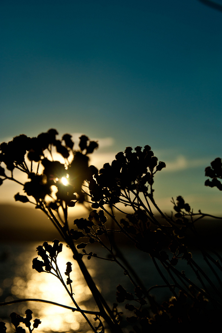 Sonnenuntergang am Cap Lardier