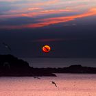 Sonnenuntergang am Cape Bonavista