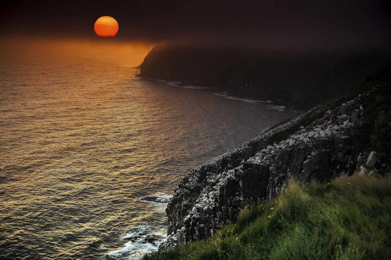 Sonnenuntergang am Cape St. Mary’s, Neufundland...