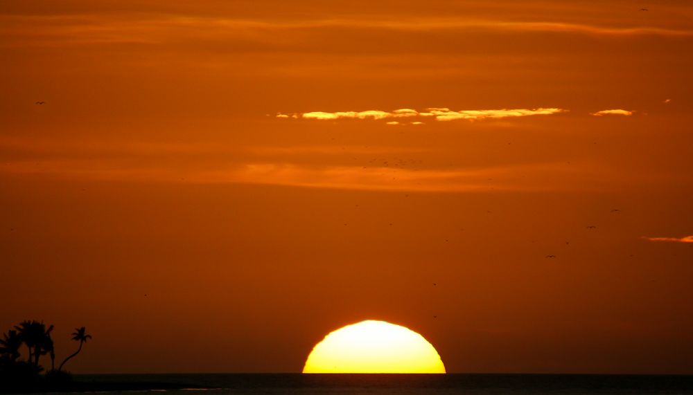 Sonnenuntergang am Captiva Beach 2