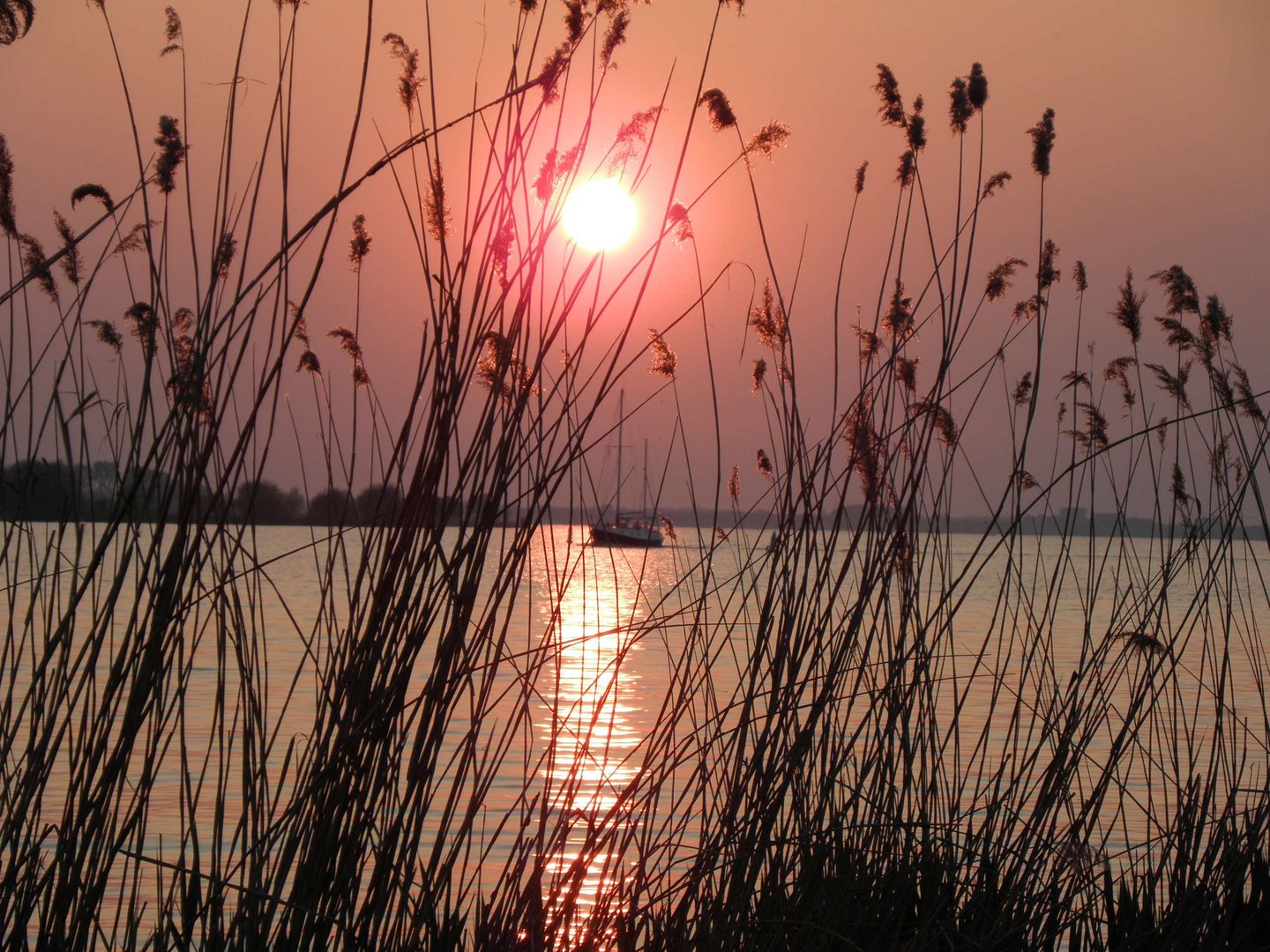 Sonnenuntergang am Center Park De Eemhof