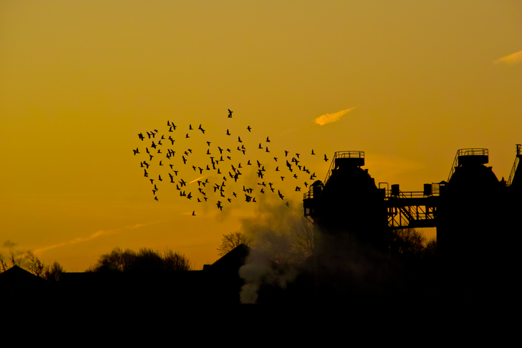 Sonnenuntergang am Chemiewerk