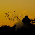 Sonnenuntergang am Chemiewerk