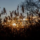 Sonnenuntergang am Chiemsee