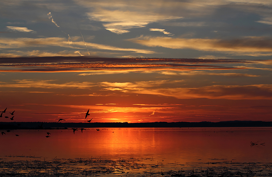 Sonnenuntergang am Chiemsee mit Flugschau