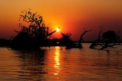 Sonnenuntergang am Chobe