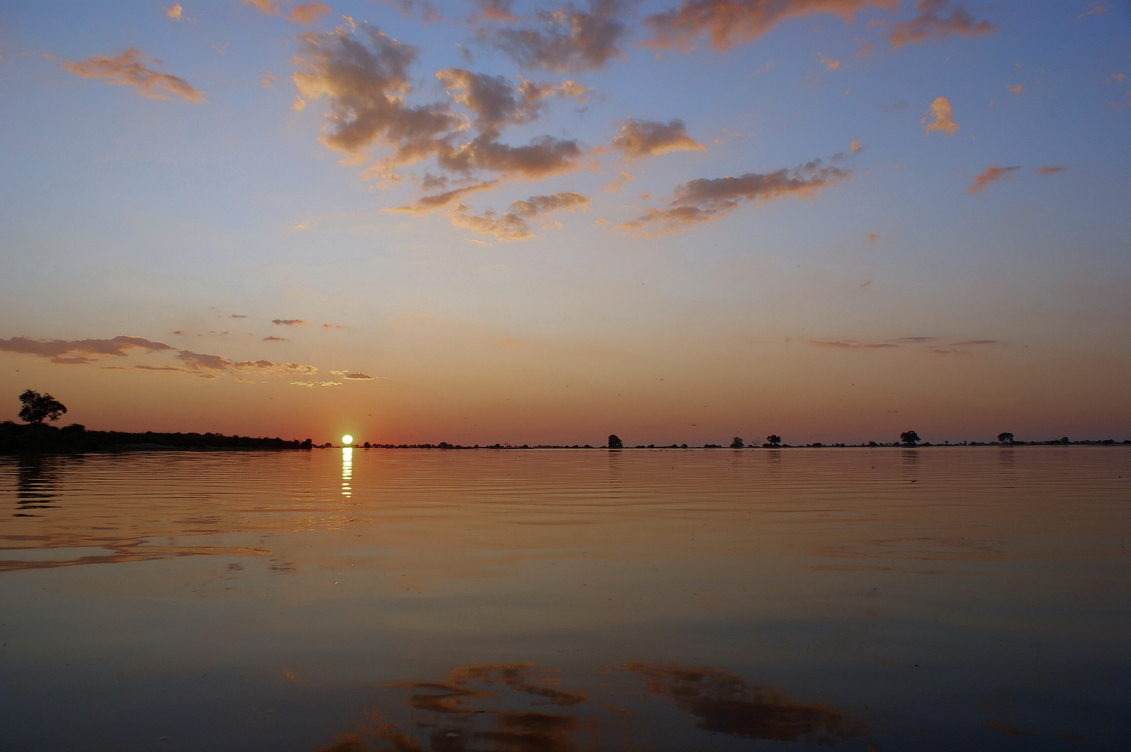 Sonnenuntergang am Chobe