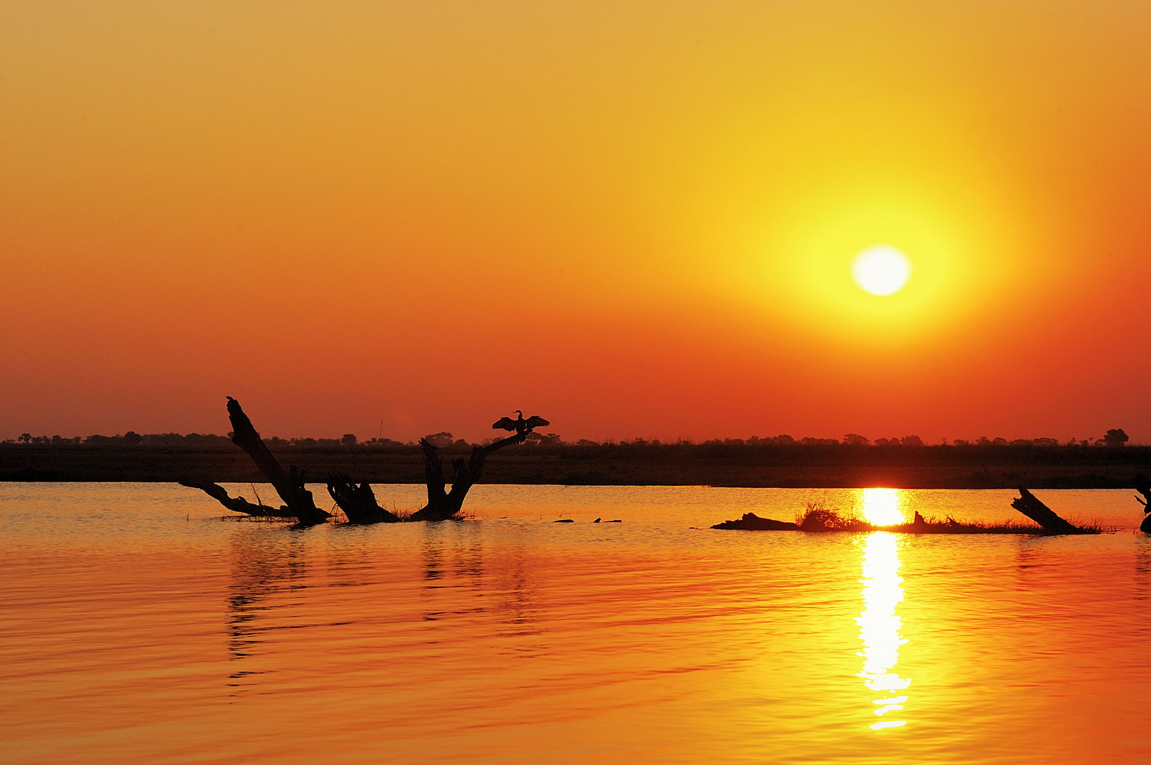 Sonnenuntergang am Chobe