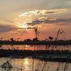 Sonnenuntergang am Chobe.