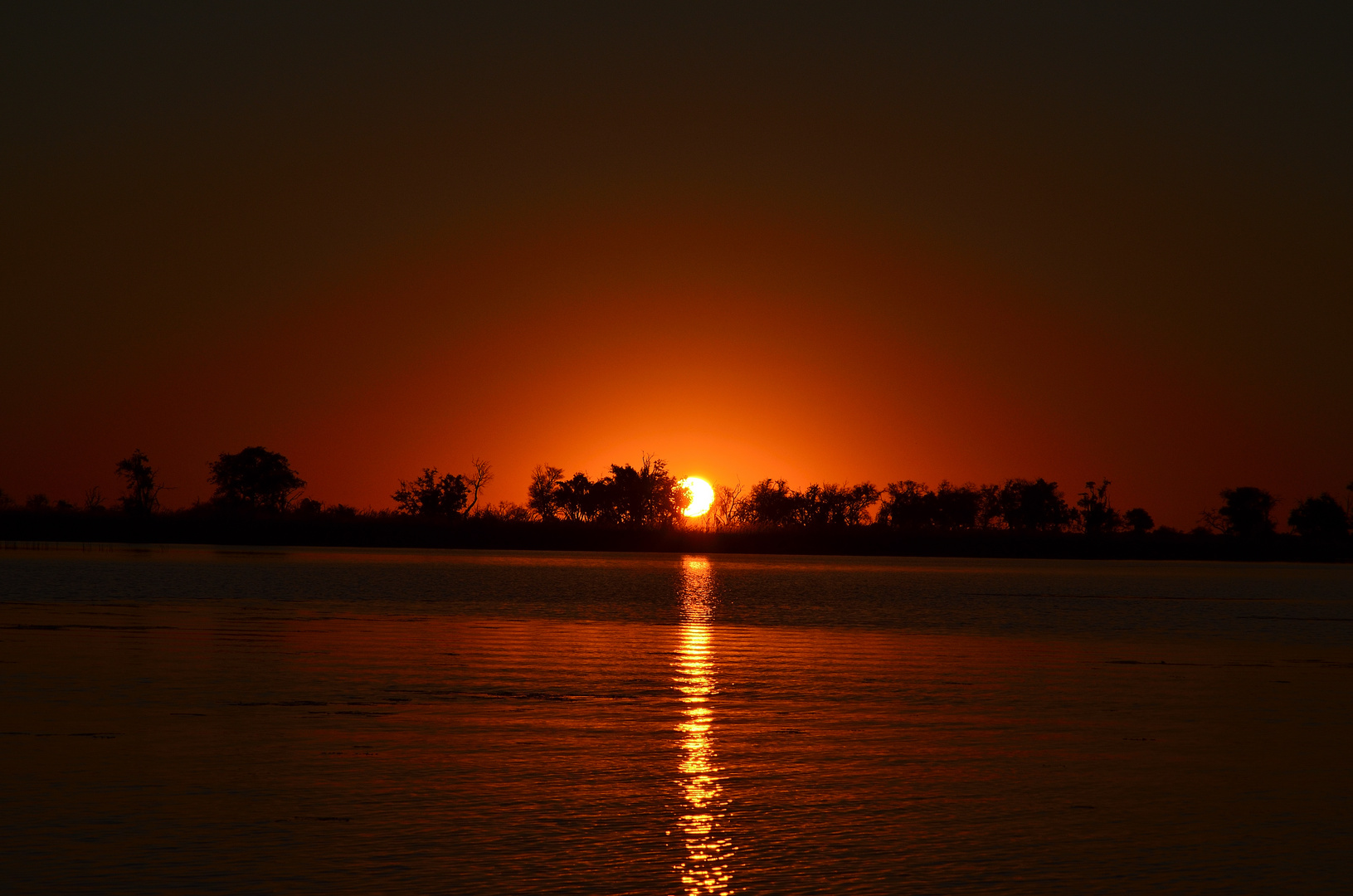 Sonnenuntergang am Chobe