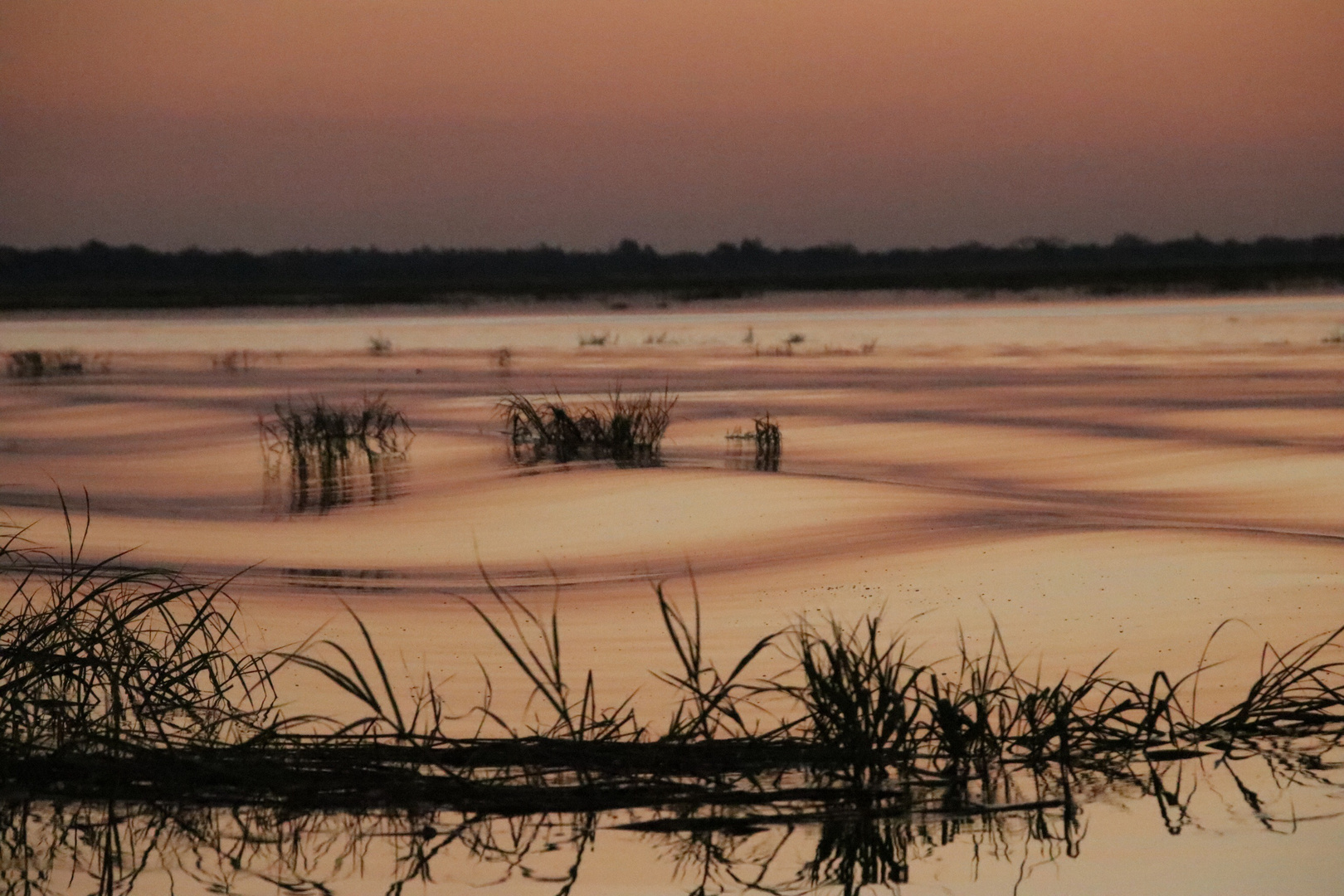 Sonnenuntergang am Chobe