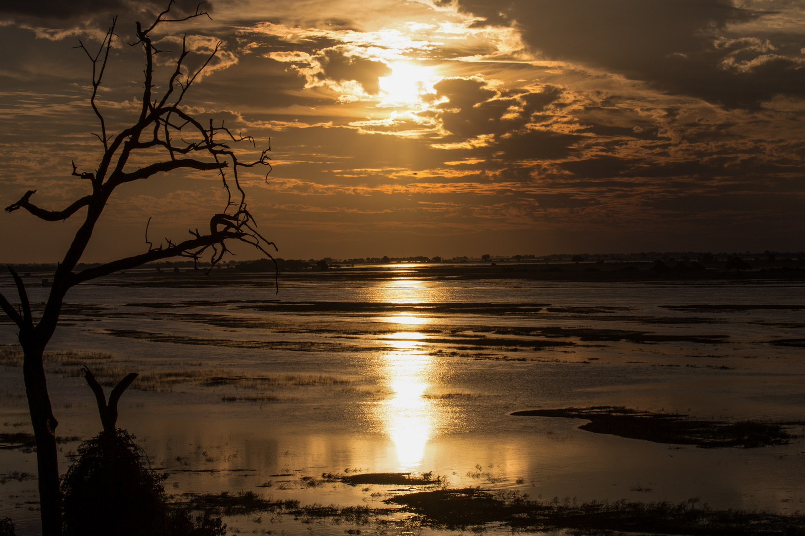 Sonnenuntergang am Chobe