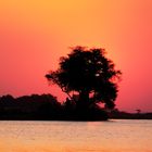 Sonnenuntergang am Chobe