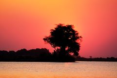 Sonnenuntergang am Chobe