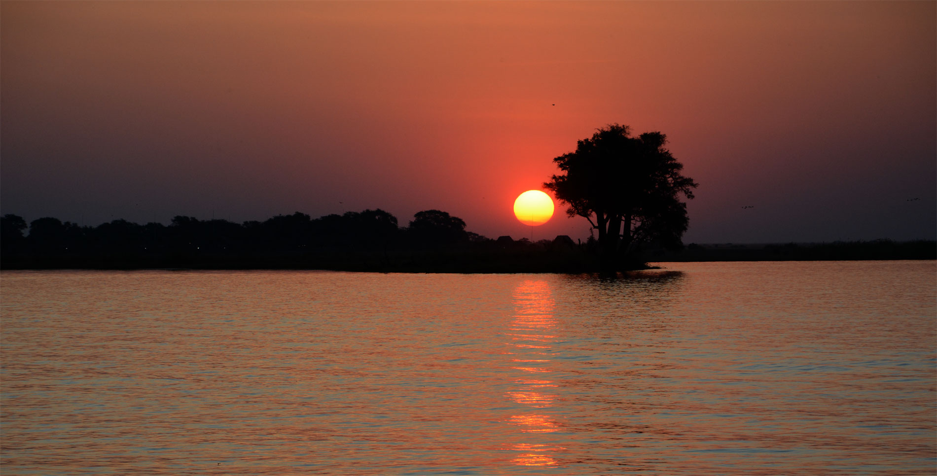 Sonnenuntergang am Chobe. 