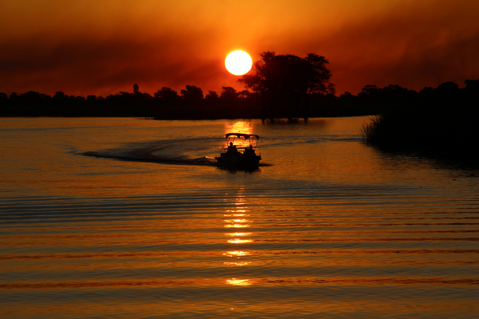 Sonnenuntergang am Chobe Fluß.