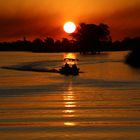 Sonnenuntergang am Chobe Fluß.