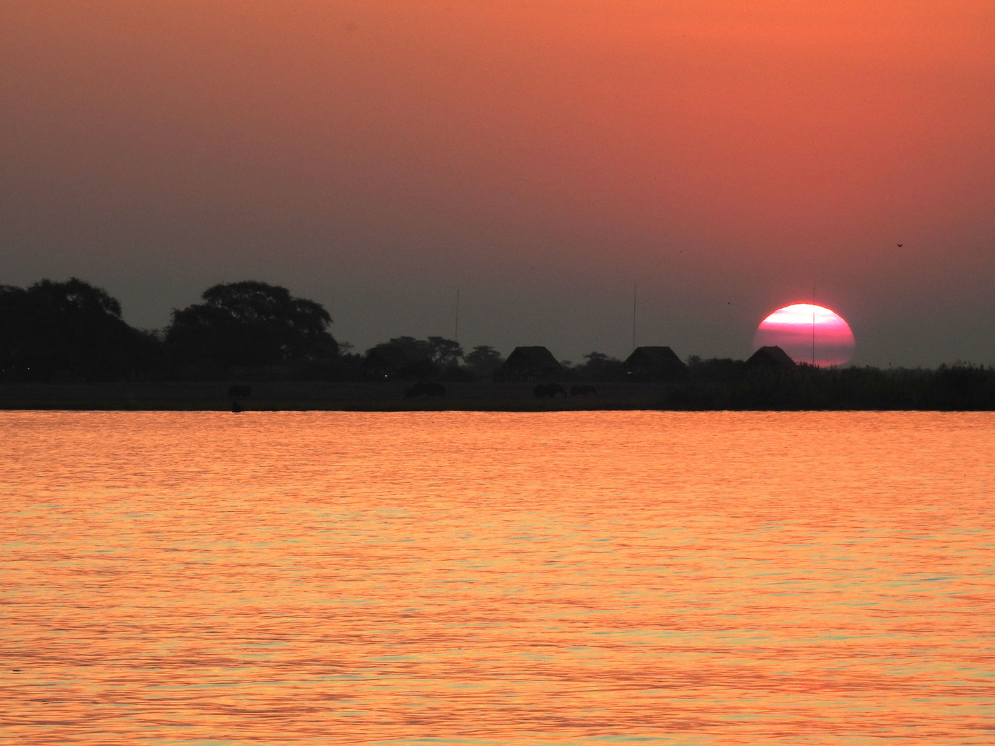 Sonnenuntergang am Chobe in Botswana