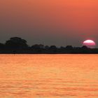 Sonnenuntergang am Chobe in Botswana