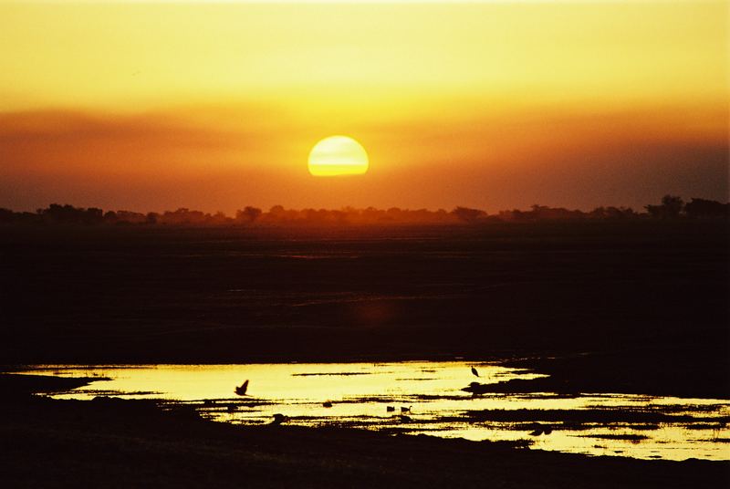 Sonnenuntergang am Chobe in Botswana