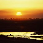 Sonnenuntergang am Chobe in Botswana