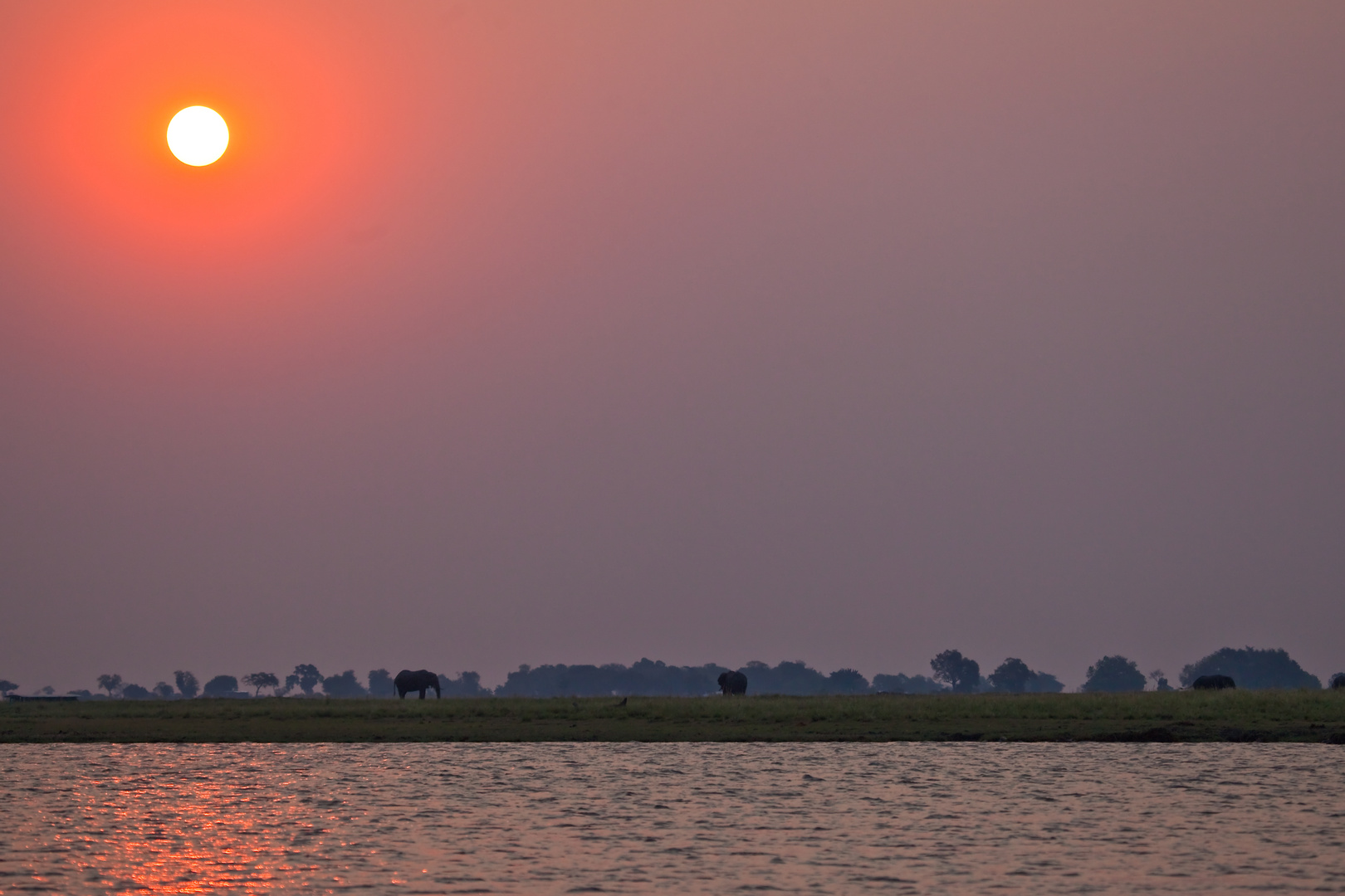 Sonnenuntergang am Chobe River