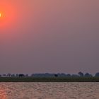 Sonnenuntergang am Chobe River