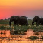 Sonnenuntergang am Chobe-River