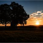 Sonnenuntergang am Clementsstock in Nideggen