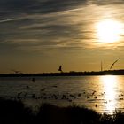 Sonnenuntergang am Cospudener See bei Leipzig