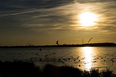 Sonnenuntergang am Cospudener See bei Leipzig