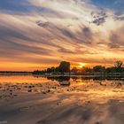 Sonnenuntergang am Dämritzsee