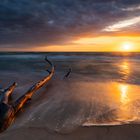 Sonnenuntergang am Darßer Weststrand