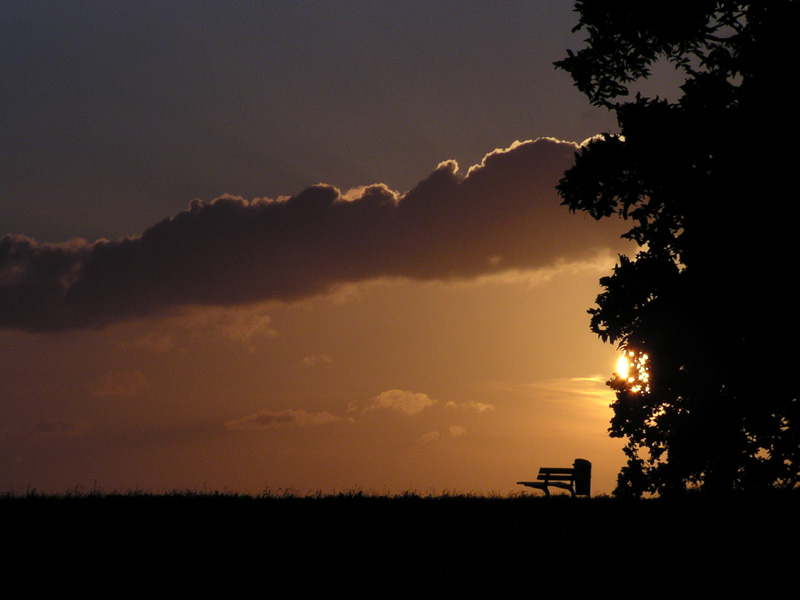 Sonnenuntergang am Deich